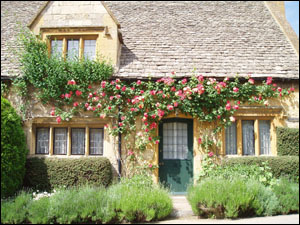 Roses round the cottage door, Stanton